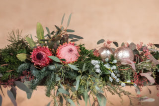 Adventswochen Teaser Zahn