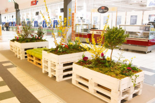 Frühlingshafte Bepflanzung im Beetzsee Center